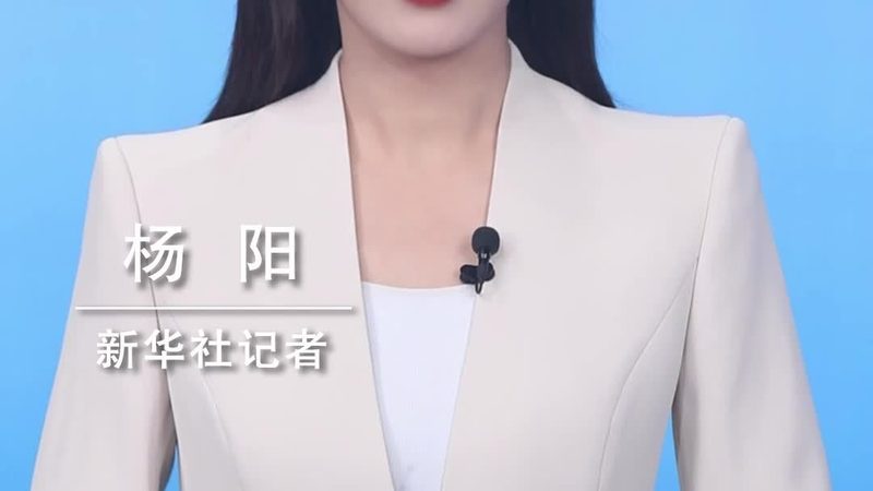 互联网技术开发：从基础到前沿的技能图谱**